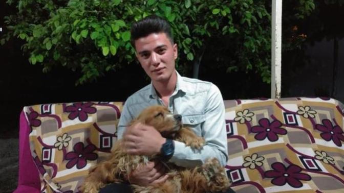 Köpeği Tarçın'a Araba Çarptı, Suni Tenefüs ve Kalp Masajı İle Hayata Döndürdü