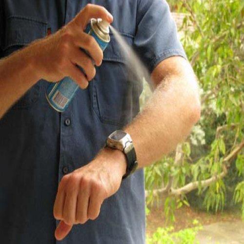 Kampçıların Korkulu Rüyası Sinek & Kenelerden Uzak Durmak Gerek