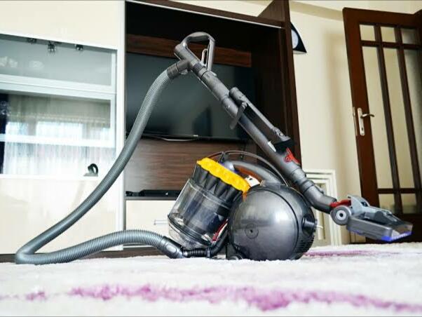 Kedi Ve Köpeğin Tüylerini Temizlemek İçin Hangi Yöntemler Kullanılır?