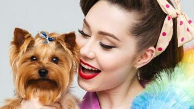 Kedi Ve Köpeğin Tüylerini Temizlemek İçin Hangi Yöntemler Kullanılır?