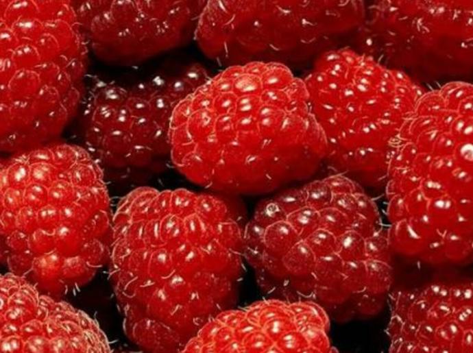 Renklerin İnsan Hayatındaki Yeri Nedir?