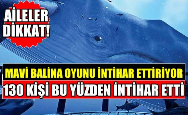 Sorgulayan Bir Deneme, Epik Bir İrdeleme ve Hayatı İnceleme Yazısı