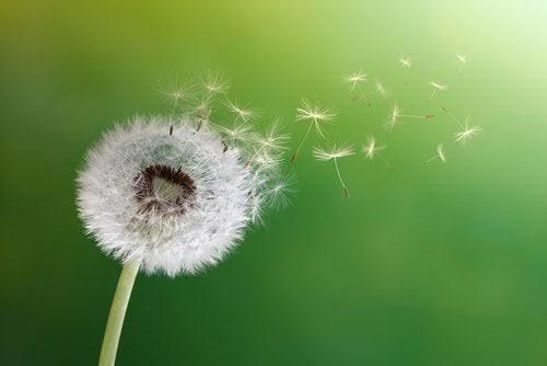 5 Adımda Depresyonla Nasıl Mücadele Edilir?