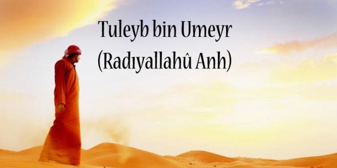 Tuleyb (r.a.)