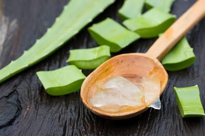 Yetiştirmesi Çok Kolay Olan Aloe Veranın Binbir Faydası