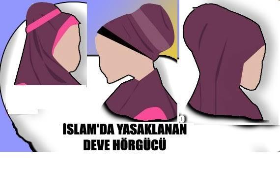 Deve Hörgücü Tanımı Görsel
