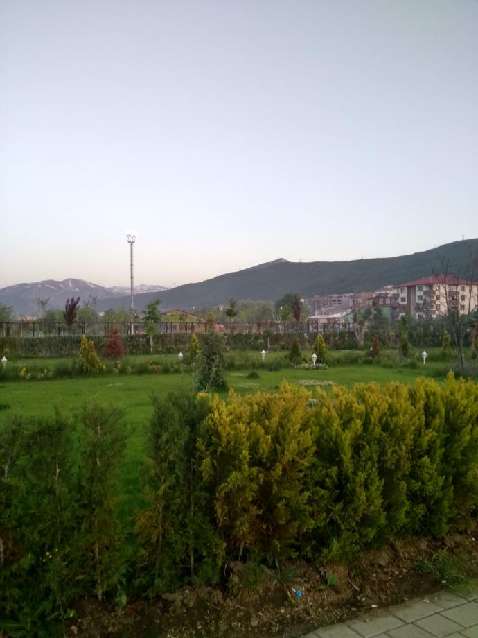Sahil kenarı yemyeşil.