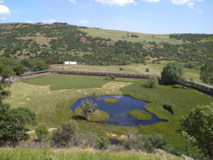 Yüzen Adalar