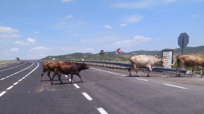 Farklı Bir Tatil İsteyenlere Rota Önerisi: Doğu'ya Yolculuk