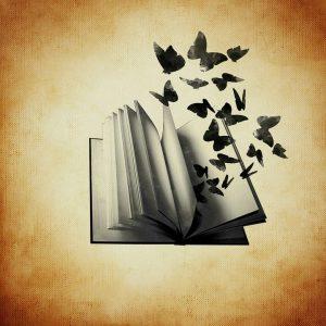 Nasıl Daha İyi Bir Kitap Okuru Olunur?