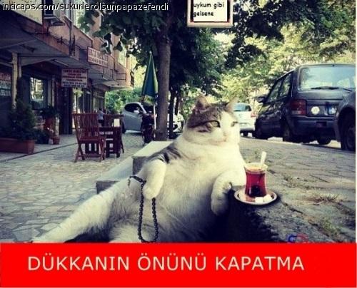 Abi Oraya Mal Gelecek!