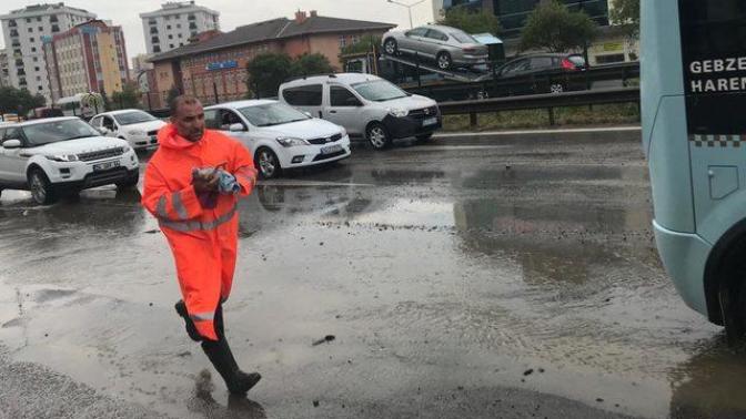 Pendik'te Sel Sularına Kapılan Kedi, Suni Teneffüs İle Kurtarıldı
