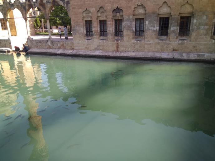 Tarih ve Doğanın Birleştiği Gizemli Şehir: Şanlıurfa