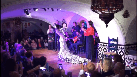 Flamenko'nun yüksek temposuna uyum sağlamalıyım