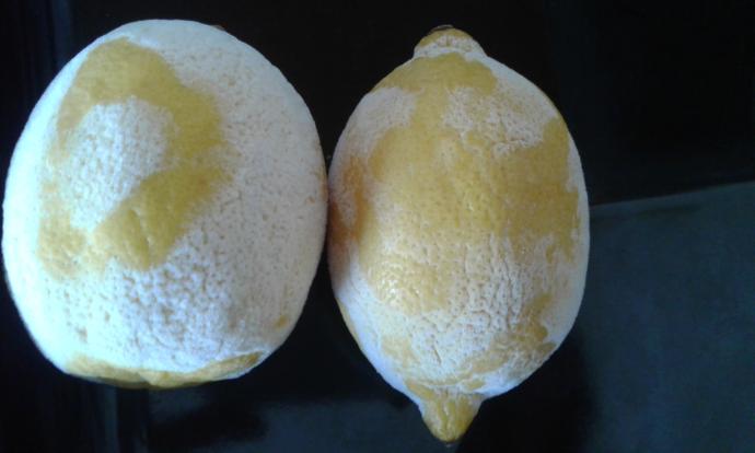 Limonun üstüne baş harfimi yazdımm 😂