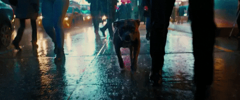 John Wick KizlarSoruyor’da Admin Olsa, Filmi Nasıl Olurdu?