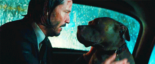 John Wick KizlarSoruyor’da Admin Olsa, Filmi Nasıl Olurdu?