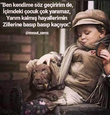 İnsanları mı Sevmeli, Hayvanları mı?