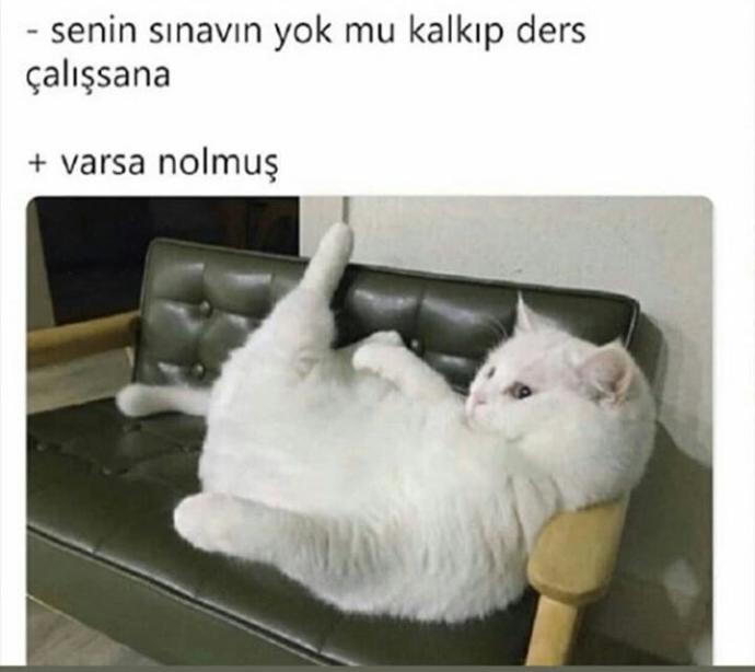 TYT'nin Ardından, Sosyal Medya Mizahşörlerinin Eğlenceli Paylaşımları!