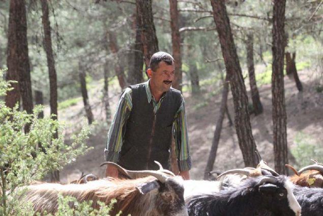 32 Yıldır Ormanda Yaşayan Aile!
