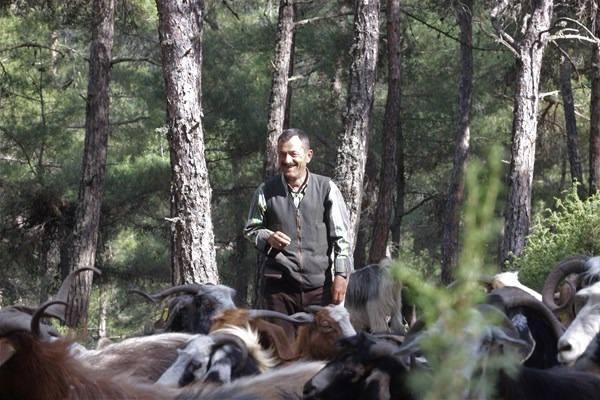 32 Yıldır Ormanda Yaşayan Aile!
