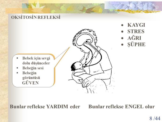 Oksitosin ve Erkekler!