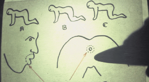 Sıra Dışı Korkunç Bir Fantezi: The Human Centipede