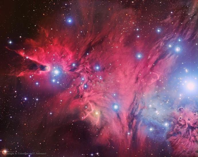 Tilki Kürkü Nebula