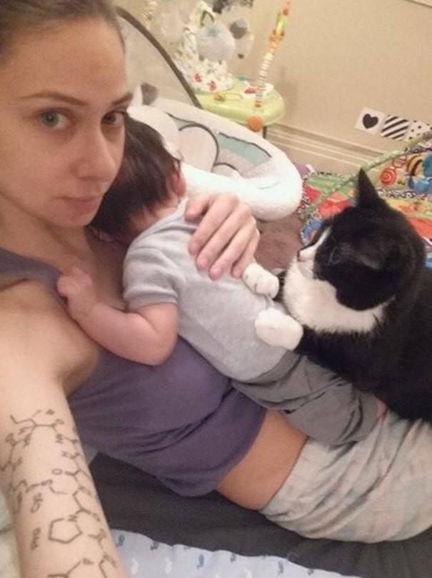 Yaşadığı Eve Yeni Eklenecek Olan Minik Üyeyi Daha Doğmadan Seven Ve Koruyan Kedi Panda
