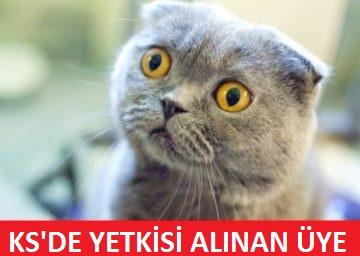 KizlarSoruyor’da Yaşanan Tepkileri Anlatan 20 Caps