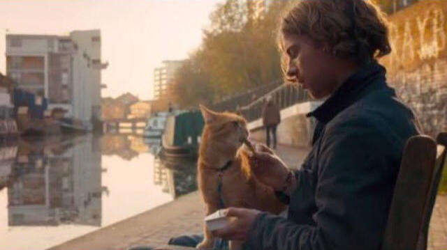 Kedi Sevenler İçin Film Tavsiyesi: Sokak Kedisi Bob