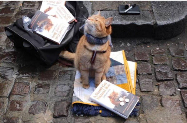 Kedi Sevenler İçin Film Tavsiyesi: Sokak Kedisi Bob