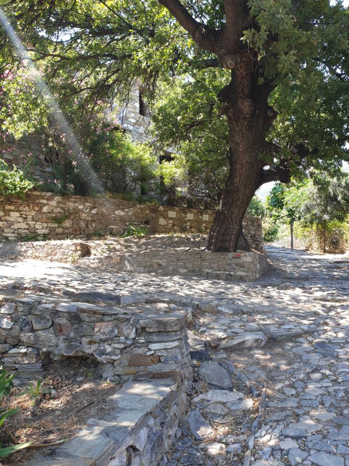 Doğanbey