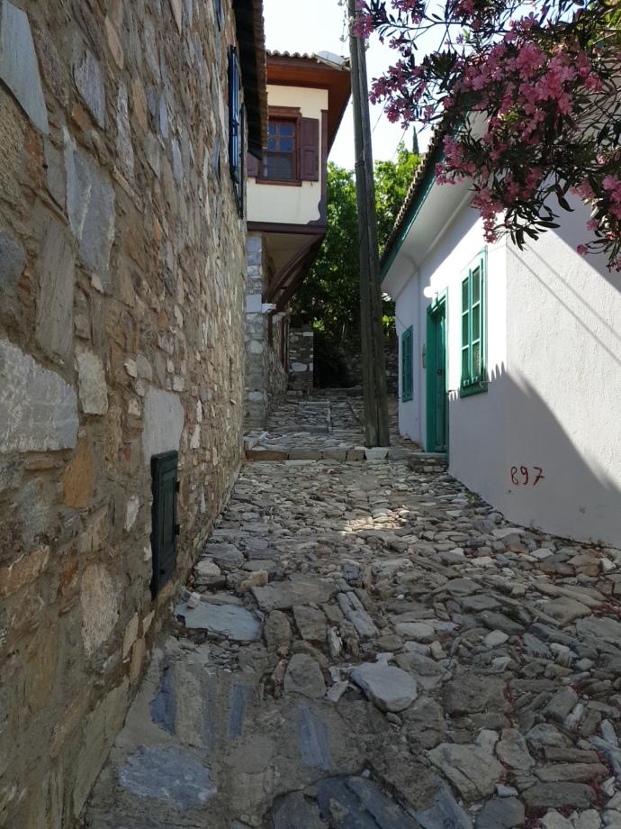 Doğanbey