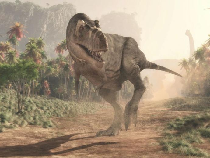 Tavukların Atalarının T. Rex Olduğunu Biliyor muydunuz?