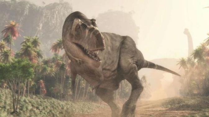 Tavukların Atalarının T. Rex Olduğunu Biliyor muydunuz?