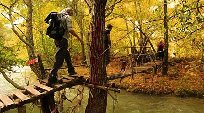 İlk ornitorenk keşfedilirken (Temsili)