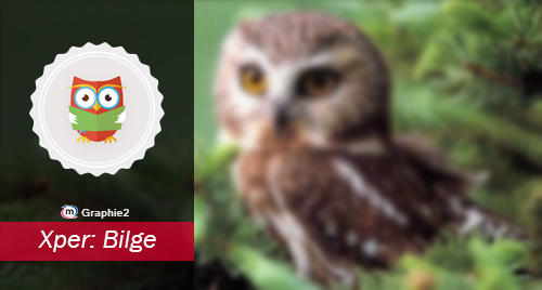KizlarSoruyor'da Profilimizi Renklendiren Alınası Rozetler!