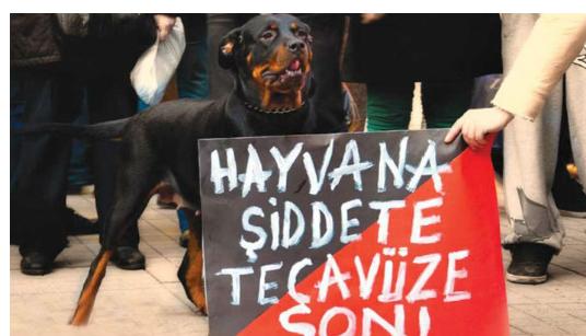 Anal Seks, Sapkınlığa Giden Yolun İlk Adımıdır!