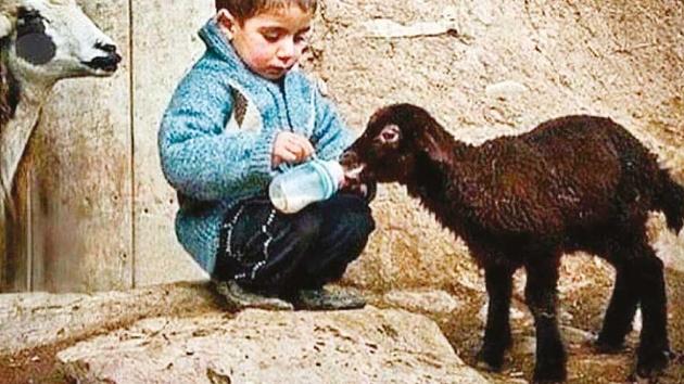Aslan Burcu Hakkında Aslı Olmayan Söylenti: Egoist!