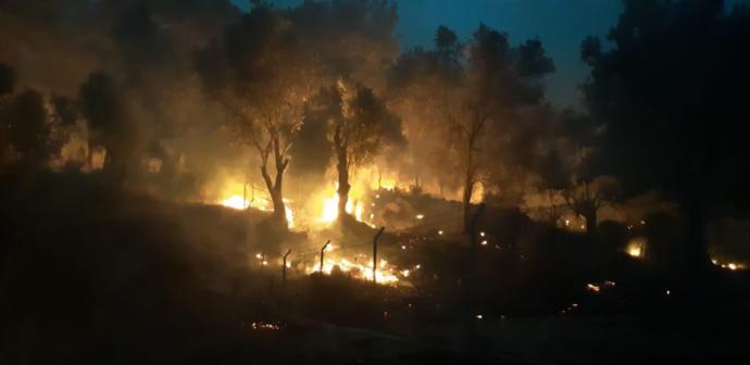 Muğla Belediye Başkanı Osman Gürün, Dalaman'da Çıkan Yangın Hakkında Açıklama Yaptı