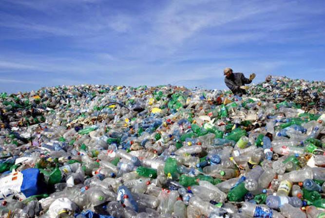 Doğamızı Korumak İçin Plastiğe Savaş Açıyoruz!