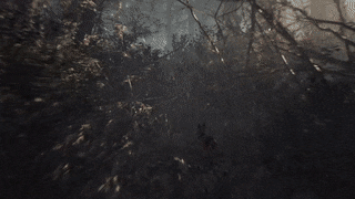 Paranormal Olayların Yaşandığı Bir Yer: Blair Witch