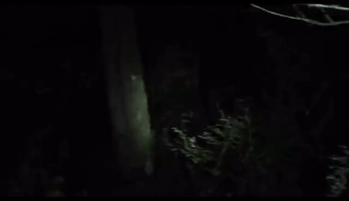 Bir Ormanın Gizemi: Blair Witch (2016 Yapımı)