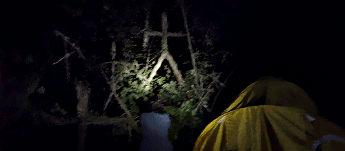 Bir Ormanın Gizemi: Blair Witch (2016 Yapımı)