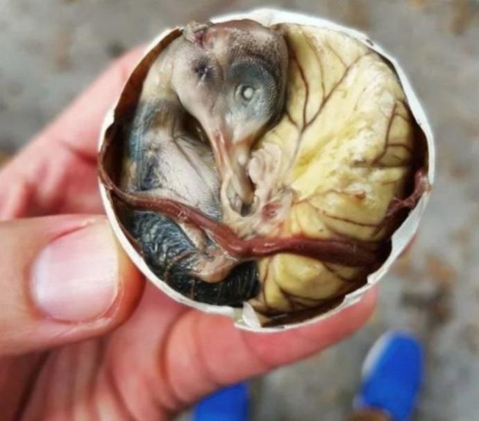Değişik Tatlara Açık Biri misiniz? Bence Bu Yemekleri Görmeden Karar Vermeyin!