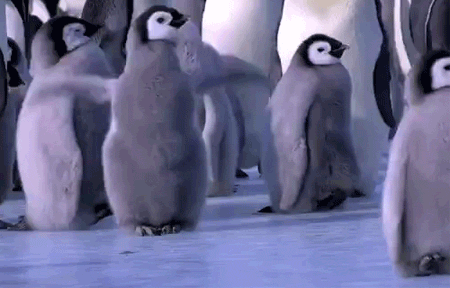 Vahşi Doğanın En Sevimli Bebekleri