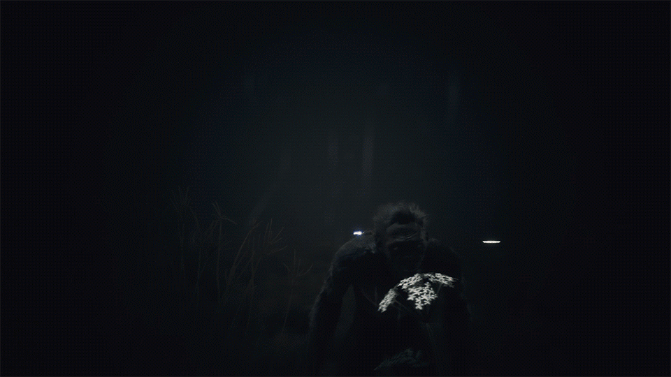 Maymunların Hayatı: Ancestors The Humankind Odyssey