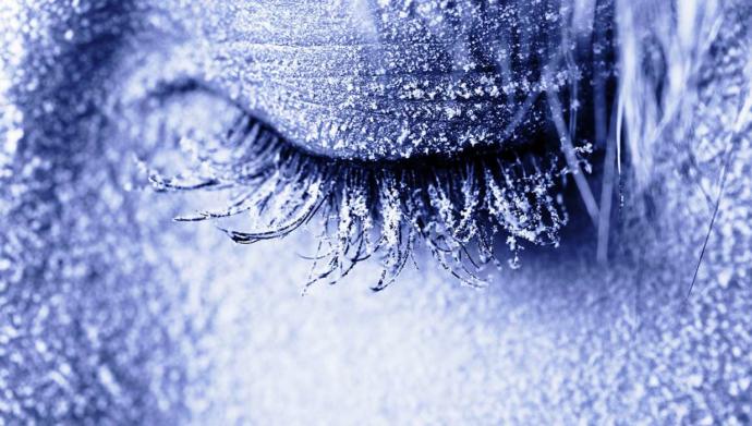 Dondurulmuş İnsanlar, Cryonics Projesi Nedir?