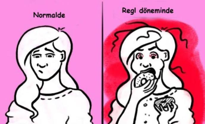 Regl Dönemini En Güzel Anlatan Karikatürler!